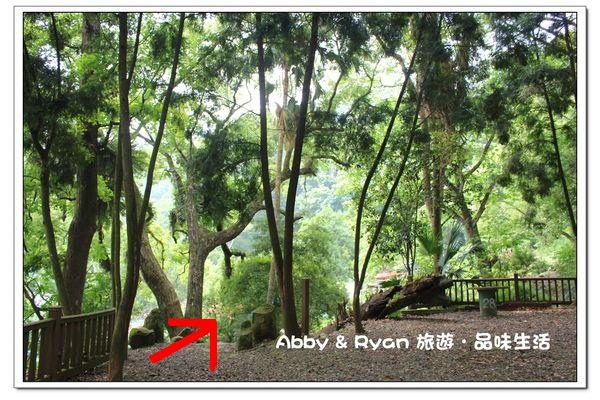 1462719248-1529179618_n