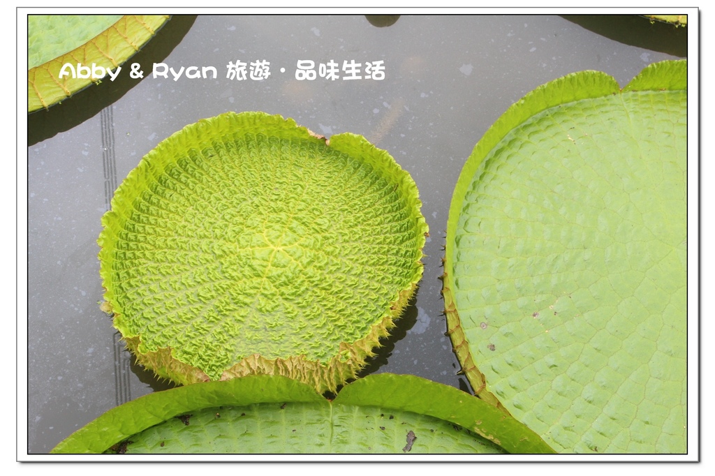 newIMG_5002.jpg newIMG_5002.jpg