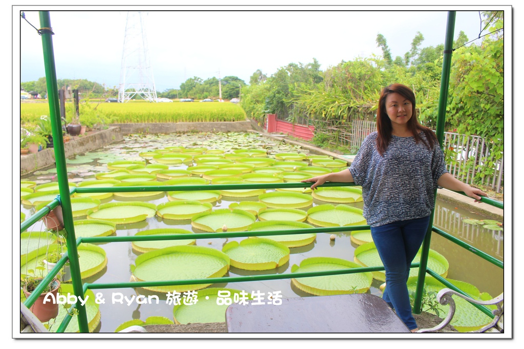 newIMG_4956.jpg newIMG_4956.jpg