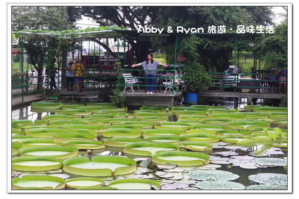 newIMG_4964.jpg newIMG_4964.jpg