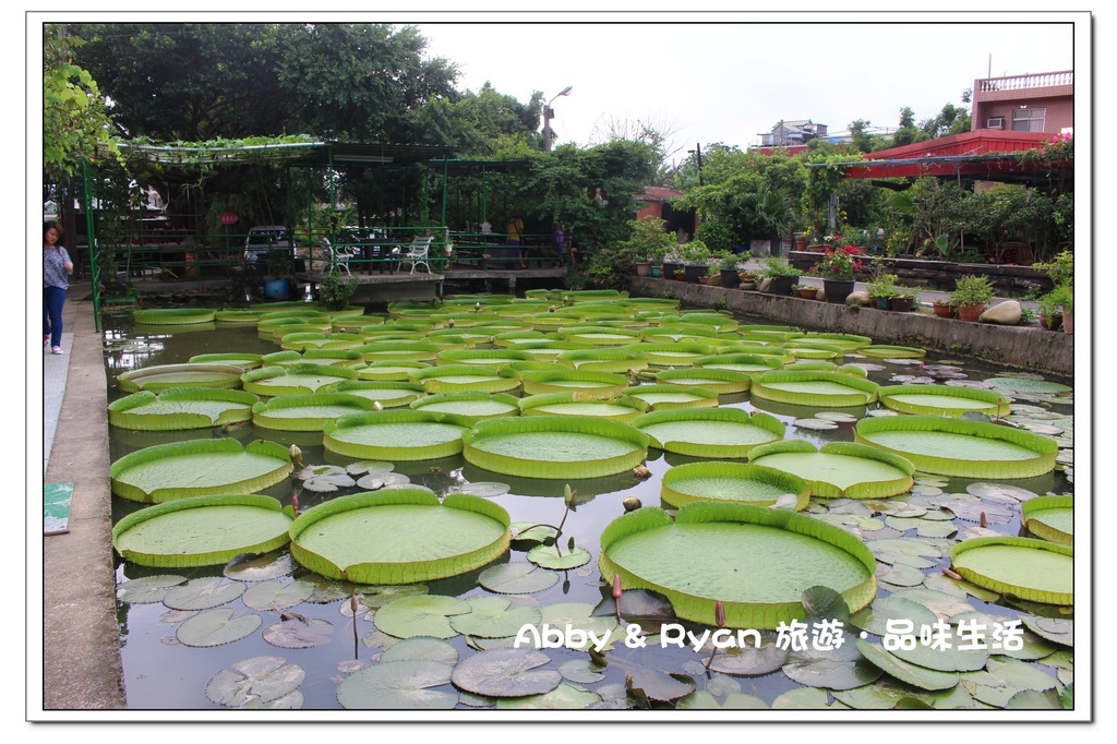 newIMG_4967.jpg newIMG_4967.jpg