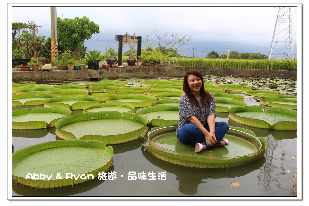 newIMG_4970.jpg newIMG_4970.jpg