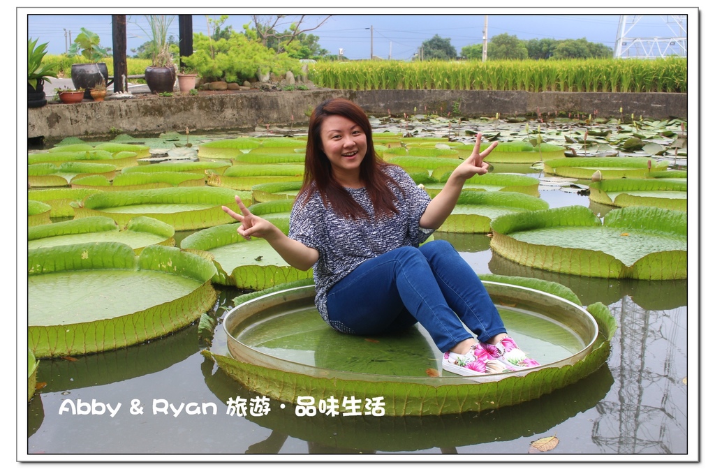 newIMG_4973.jpg newIMG_4973.jpg