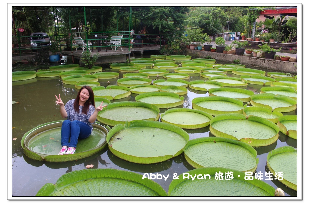 newIMG_4974.jpg newIMG_4974.jpg