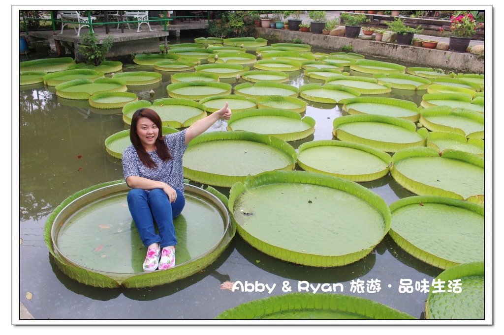 newIMG_4977.jpg newIMG_4977.jpg