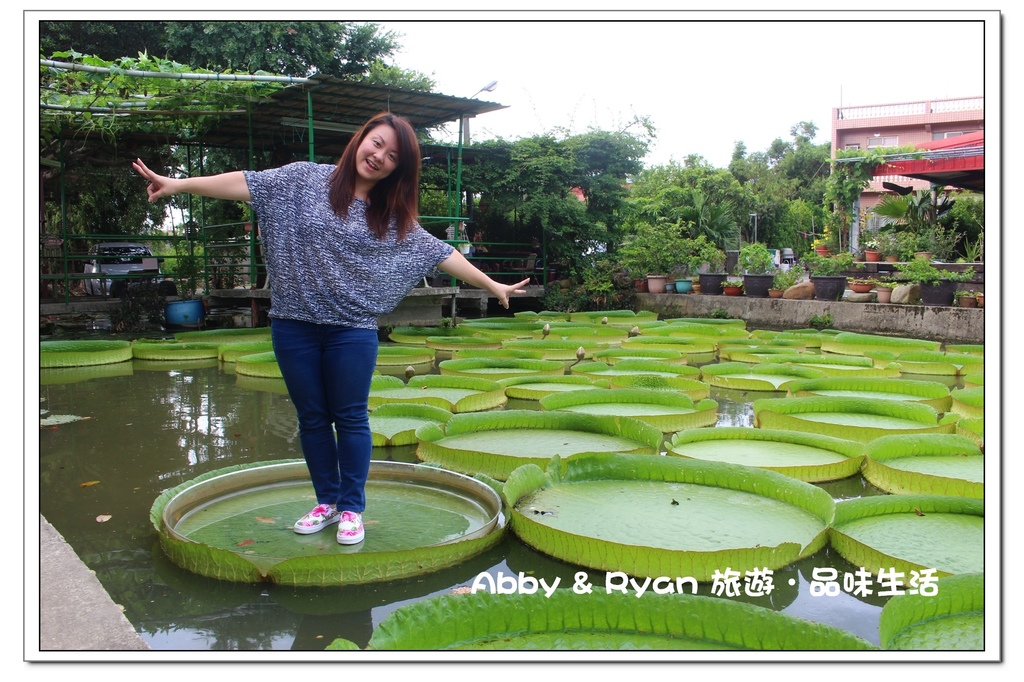 newIMG_4979.jpg newIMG_4979.jpg