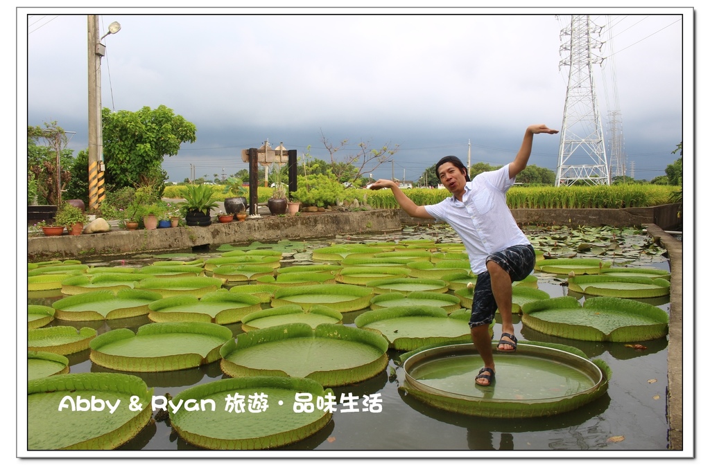 newIMG_4988.jpg newIMG_4988.jpg