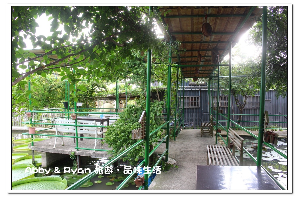 newIMG_4999.jpg newIMG_4999.jpg