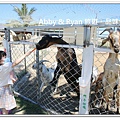 newIMG_6465.jpg