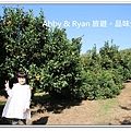 newIMG_6606.jpg
