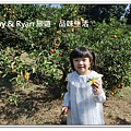 newIMG_6626.jpg
