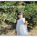 newIMG_6630.jpg