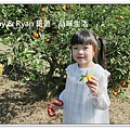 newIMG_6627.jpg