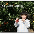 newIMG_6635.jpg
