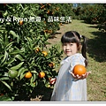 newIMG_6639.jpg