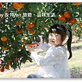 newIMG_6643.jpg
