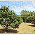 newIMG_6649.jpg
