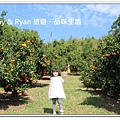 newIMG_6655.jpg