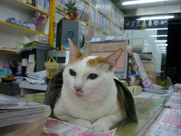 調整大小P1000546.JPG