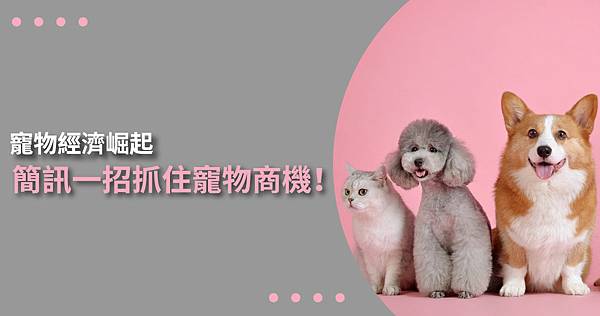 寵物經濟崛起，簡訊一招抓住寵物商機