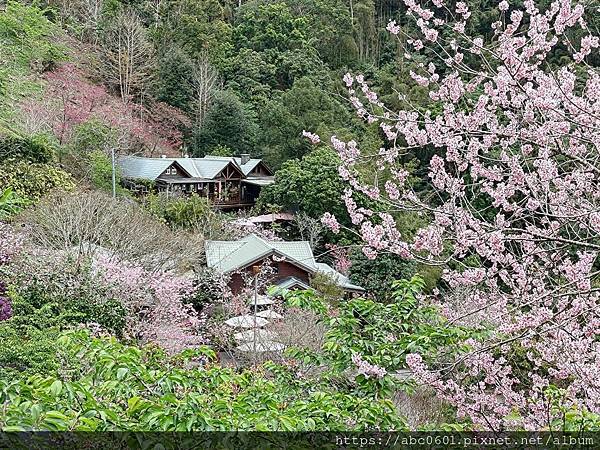 碧絡角花園咖啡(最後入園&點餐時間:16:30)