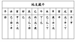 地支藏干