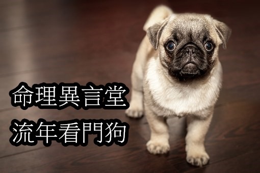 pug-690566__340.jpg