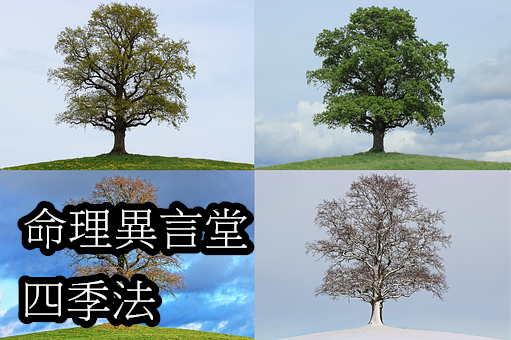 tree-776932__340.png