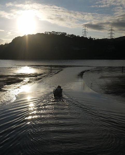 關渡水岸(二零一五十二月十號) (5).JPG