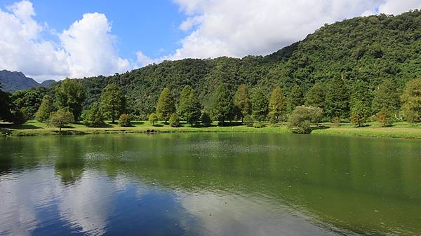 為天地寫日記(宜蘭蜊埤湖落羽松)