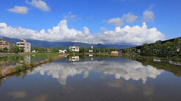 為天地寫日記(宜蘭水稻田倒影、白蘆葦、安農溪落羽松、播種)