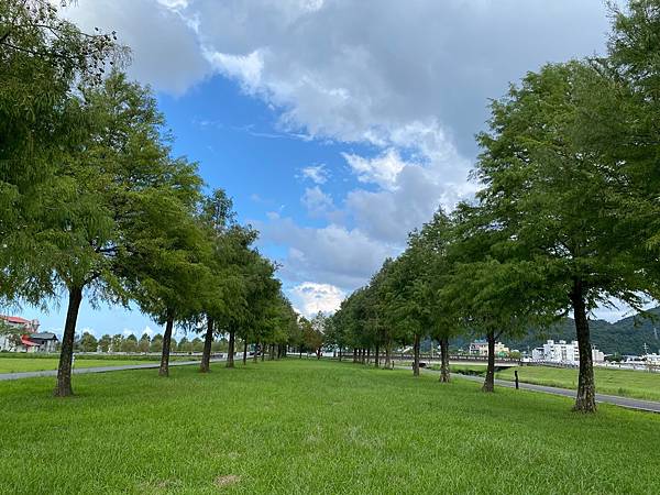 為天地寫日記(宜蘭水稻田倒影、白蘆葦、安農溪落羽松、播種)