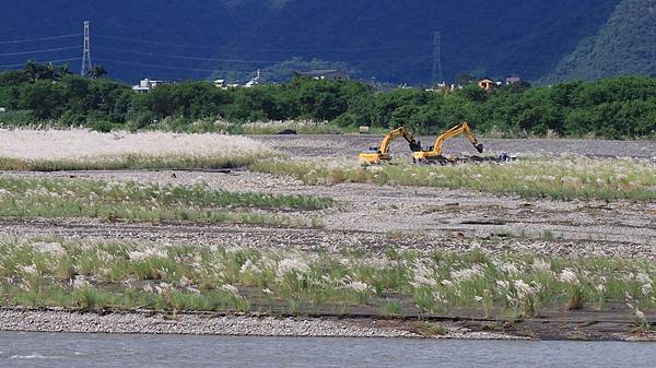 為天地寫日記(宜蘭水稻田倒影、白蘆葦、安農溪落羽松、播種)