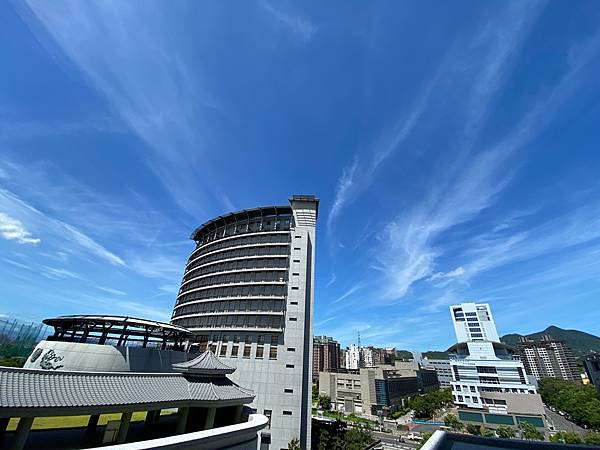 為天地寫日記集錦(關渡靜思堂、關渡平原、忠義捷運站、101大