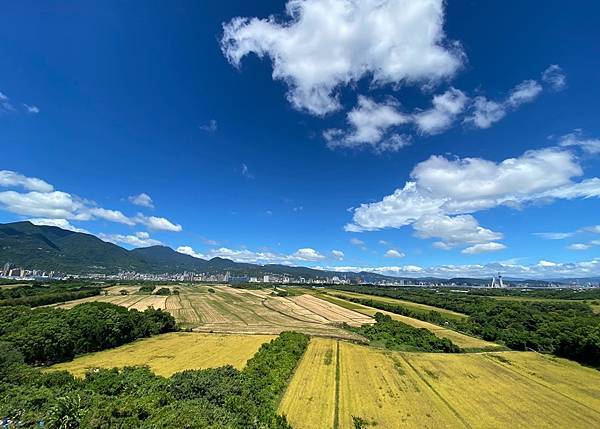 為天地寫日記集錦(關渡靜思堂、關渡平原、忠義捷運站、101大