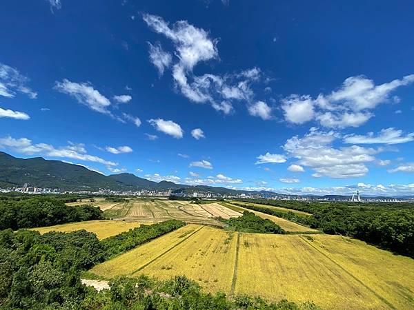 為天地寫日記集錦(關渡靜思堂、關渡平原、忠義捷運站、101大