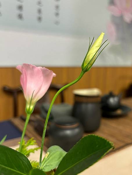 生活分享(新店靜思堂旗海飄揚、茶道教室插花)