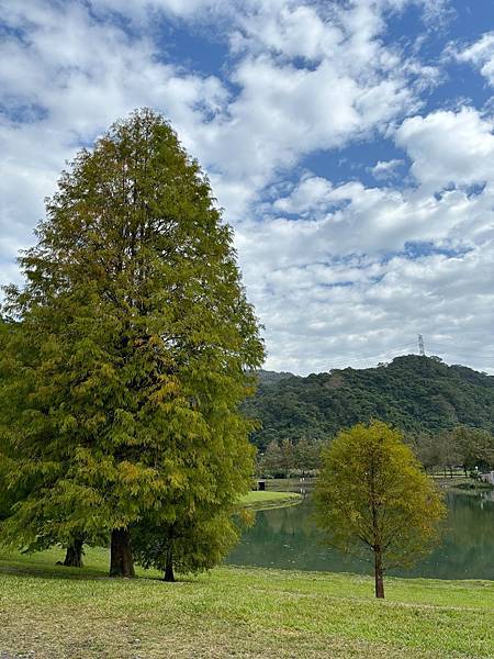 為天地寫日記(宜蘭蜊埤湖與雷公埤)(2023.11.29)