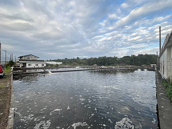 為天地寫日記(白鷺鷥魚塭吃蝦、龜山島)(2023.11.29