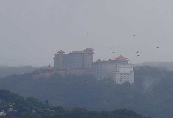 為天地寫日記(陽明山日出、淡水河岸芒草與鳥、文化大學雲霧)