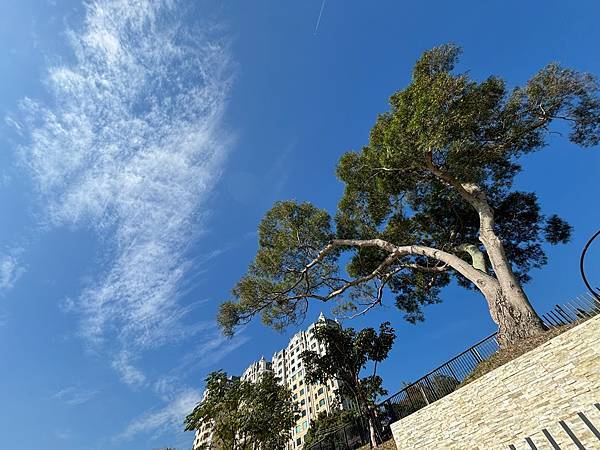 為天地寫日記(五股獅子頭山水匯集廣場)(2024.02.01