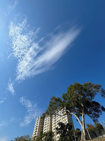 為天地寫日記(五股獅子頭山水匯集廣場)(2024.02.01