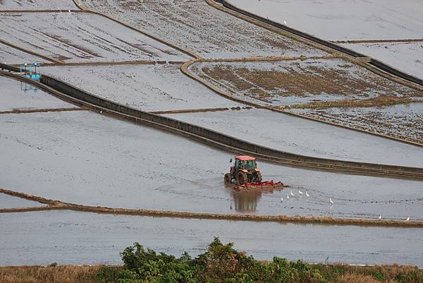 為天地寫日記(關渡平原起霧、大愛台倒影、耕耘、靜思堂與宇宙大