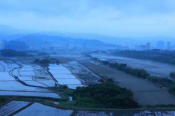 為天地寫日記(關渡平原起霧)(2024.02.20-2024