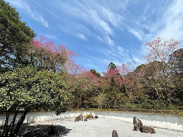 為天地寫日記(明池、櫻花與動物)(2024.02.28)