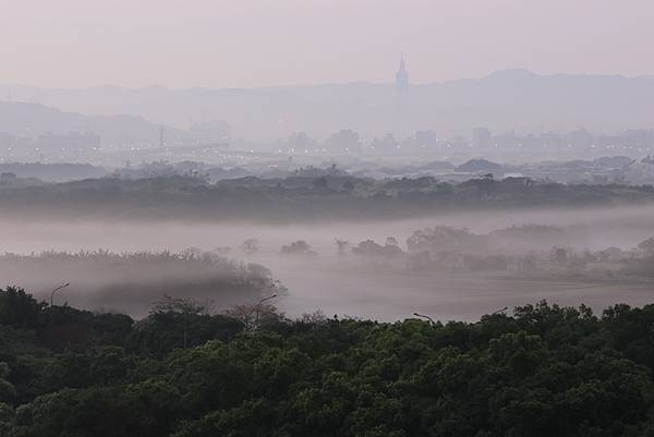 為天地寫日記(關渡平原起霧)(縮時)(2024.03.04)