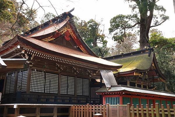 日本東京藝文之旅第二天(鹿島神宮與袋田瀑布)(2024.03