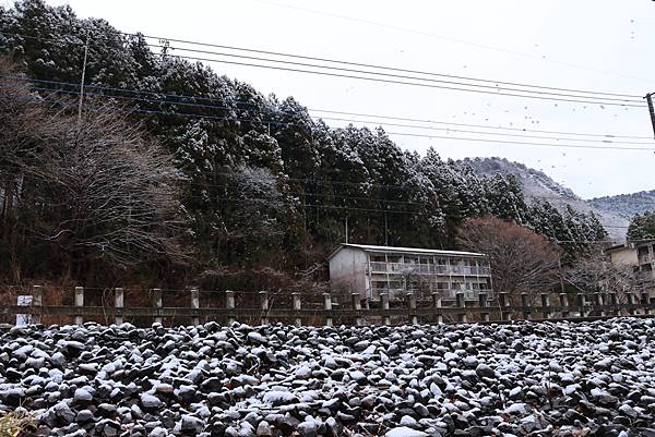 日本東京藝文之旅第三天(鬼怒川飄雪)(2024.03.08)