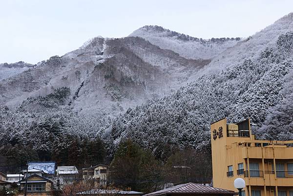 日本東京藝文之旅第三天(鬼怒川飄雪)(2024.03.08)