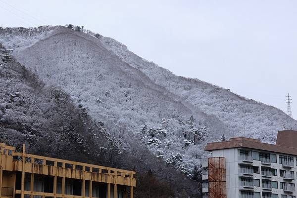 日本東京藝文之旅第三天(鬼怒川飄雪)(2024.03.08)